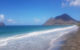 Studio Evasion Tropicale Diamant